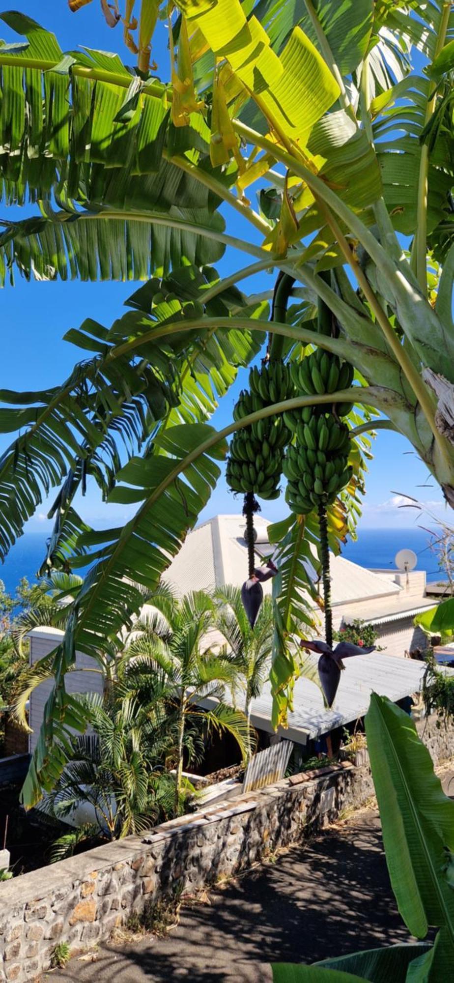 Villa Maloya Saint-Leu Exterior foto